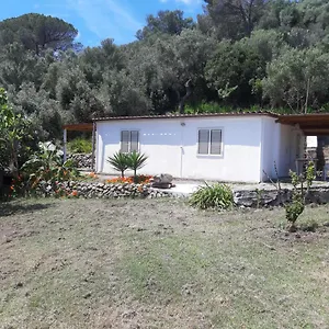 Garden House Q4527 Casa vacanze Carloforte (Isola di San Pietro)